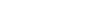 white shipgame logo